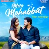 About Meri Mohabbat Song