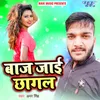 About Baaj Jayi Chhagal Song