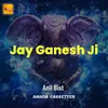 About Jay Ganesh Ji Song