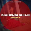 About Dikhendi Bhi Nii Song