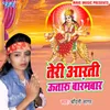 About Teri Aarti Utharu Barambar Song