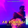 About Ae Zindagi Song