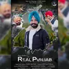 About Real Punjab Song