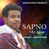 About Sapno Me Aana Song