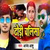 About Dhodhi Chalisa 2 Song