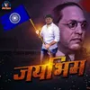 About Jay Bhim Song