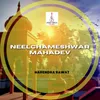 Neelchameshwar Mahadev