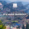 About Pyare Bindu Song