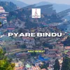 Pyare Bindu