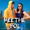 About Meethe Bol Song
