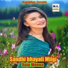 About Sandhi bhayali Milgi Song