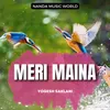 About Meri Maina Song