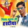 About Pisa Balam Ji Haradiya Song