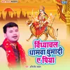 About Vindhyachal Dhamwa Ghumada Ae Piya Song