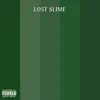 About Lost Slime Song