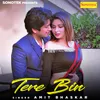 About Tere Bin Song