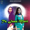 About Tu Jaan Meri Song