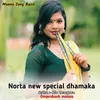 About Norta new special dhamaka Song