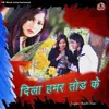 About Dila Hamar Tod Ke Song