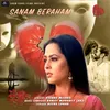 About Sanam Beraham Song