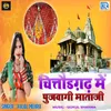 About Chittorgarh Me Pujwagi Mataji Song