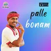 About Palle Bonam Song