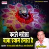 About Karale Bharosa Baba Shyam Hamara Hai Song