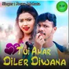 About Tui Amar Diler Diwana Song