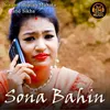 Sona Bahin