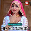 Dil Se Aashki