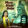 About Mere Bhole Baba Song