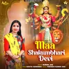 Maa Shakumbhari Devi