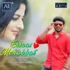About Ehsaas E Mohabbat Song