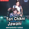 About Teri Chikani Jawani Song