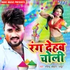 About Rang Dehab Choli Song