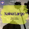 About Naina Large Song