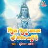 About Shiv Guru Naam Ki Ganga Bahi Hai Song