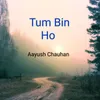 About Tum Bin Ho Song