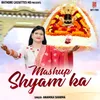 About Mashup Shyam Ka Song