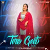 About Tere Geet Song