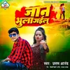 About Jaan Bhula Gailu Song