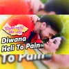 About Diwana Heli To Pain Song