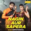About Nagin Aur Sapera Song