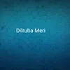 About Dilruba Meri Song