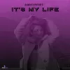 About It's My Life Song