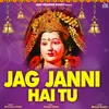 About Jag Janni Hai Tu Song