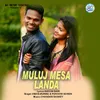 About Muluj Mesa Landa Song