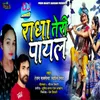 About DJ Song Radha Teri Paayal Song