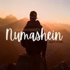 About Numashein Song