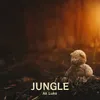 About Jungle Song